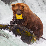 Load image into Gallery viewer, Bear Catching Salmon Pop Up Card
